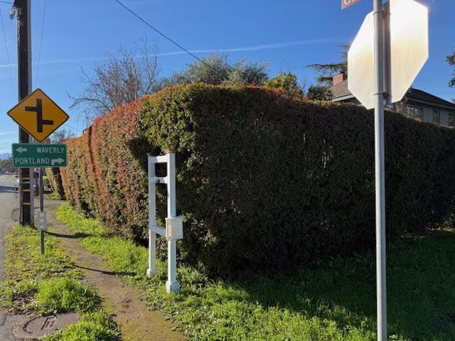 1280 Grant Road, Los Altos CA: https://media.crmls.org/mediaz/ad012ec9-6477-4bb2-bacb-036aeec32f88.jpg