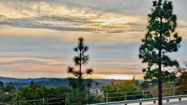 115 Lena Court, San Marcos, California 92078, 4 Bedrooms Bedrooms, ,4 BathroomsBathrooms,Residential rental,For Sale,Lena Court,PTP2403450