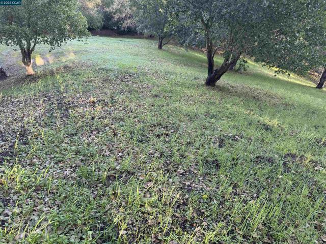 43 Cuesta way, Walnut Creek CA: https://media.crmls.org/mediaz/ad10702b-c990-4759-af6a-6b145c92873b.jpg