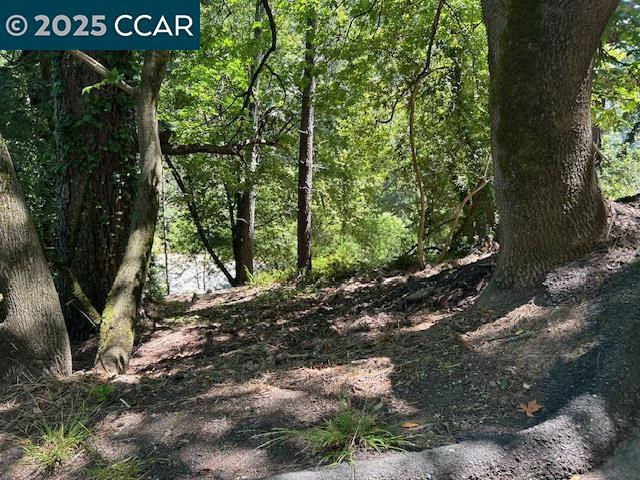 0 Starkville Ct, Orinda CA: https://media.crmls.org/mediaz/ad16cafb-5832-4c85-9e59-8364f993d6c4.jpg
