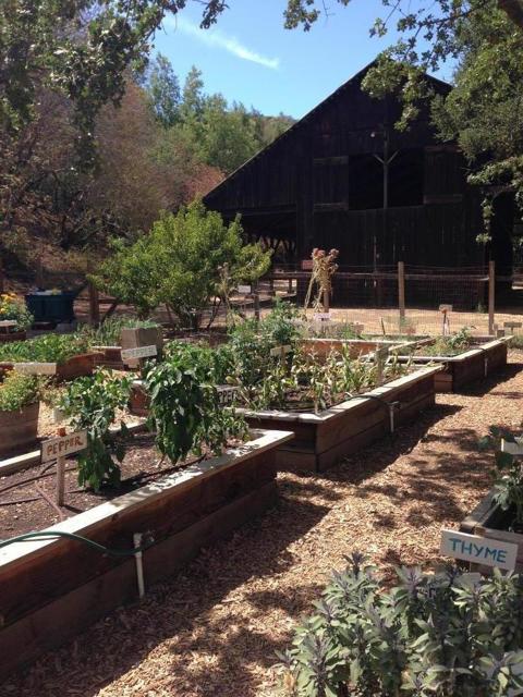 7577 Bollinger Road, Cupertino CA: https://media.crmls.org/mediaz/ad3457f8-8339-45db-bbe5-4f2b00acb6fe.jpg