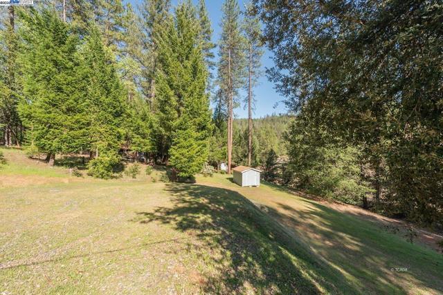 430 Bridge Rd, Douglas City CA: https://media.crmls.org/mediaz/ad37b7f2-b57b-478b-9e0d-086a4d451d99.jpg