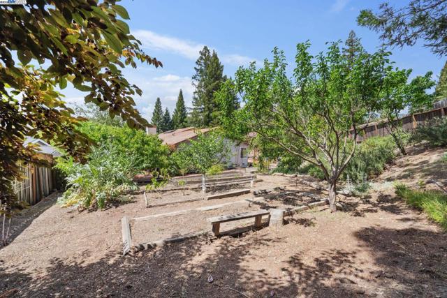 643 Contada Cir, Danville CA: https://media.crmls.org/mediaz/ad3d656e-20c8-4164-8594-ff9bbd2d5dd7.jpg