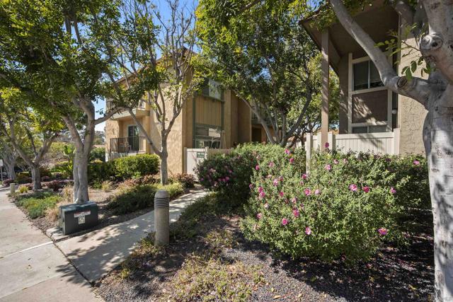 7836 Hummingbird Ln, San Diego CA: https://media.crmls.org/mediaz/ad3df0f8-ef1c-40e8-b85b-35d61fdc2cc4.jpg