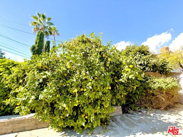 23744 Hartland Street, West Hills CA: https://media.crmls.org/mediaz/ad3f19b4-1b55-42aa-b9f8-9e17d23aefc7.jpg