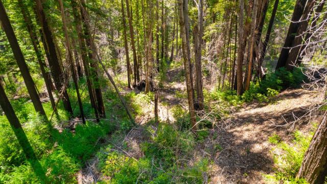 3 Bloom Grade, Boulder Creek CA: https://media.crmls.org/mediaz/ad40d623-6588-4da2-96a2-d27f58cddb59.jpg