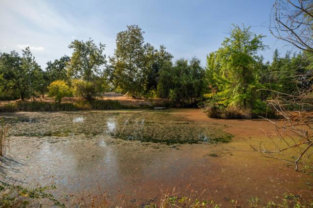 7555 Merced Falls Road, Snelling CA: https://media.crmls.org/mediaz/ad43722b-e07c-4d8c-a574-d9a3a8192b86.jpg