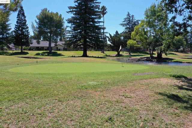 Surrounding community featuring a putting green, a yard, and view of golf course