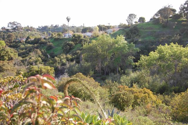 3164 W Fox Run Way, San Diego CA: https://media.crmls.org/mediaz/ad47d362-32b4-4bfc-a24e-21f17708249b.jpg