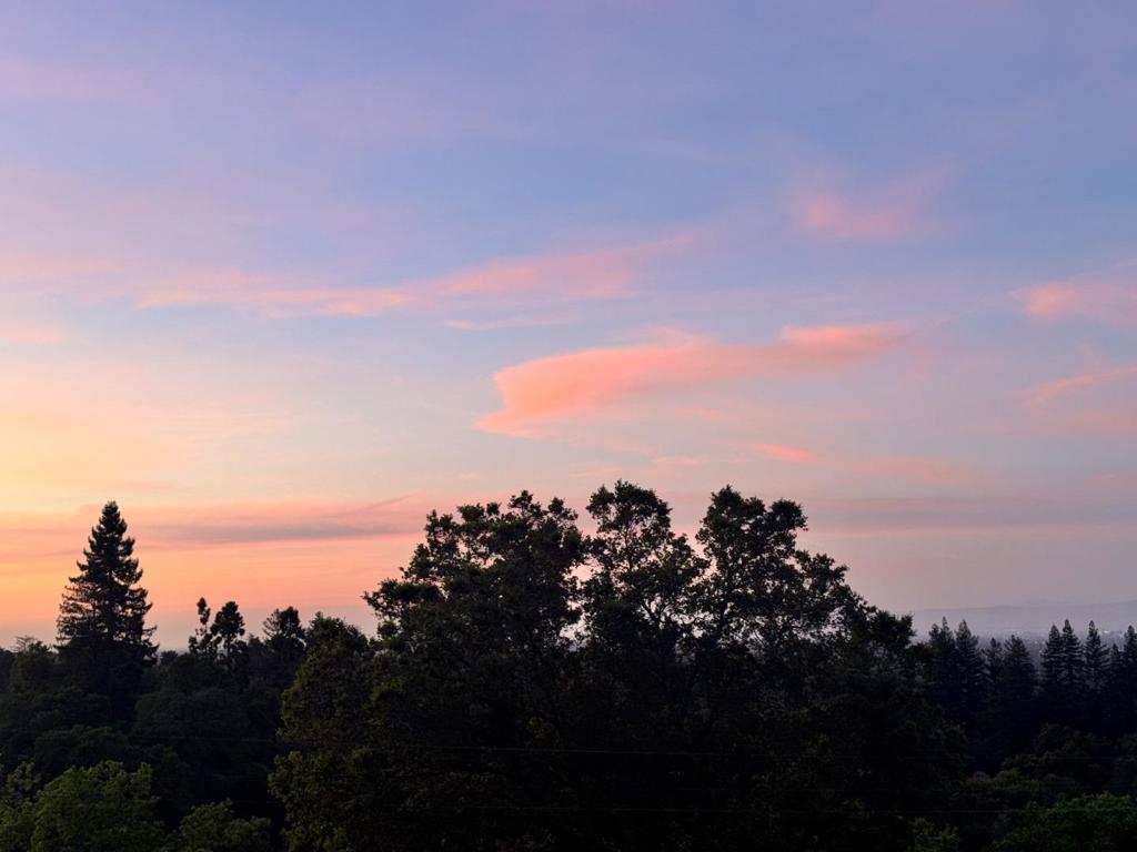 https://media.crmls.org/mediaz/ad4aee09-adcd-4629-b6e5-ec65209e1b24.jpg?preset=X-Large