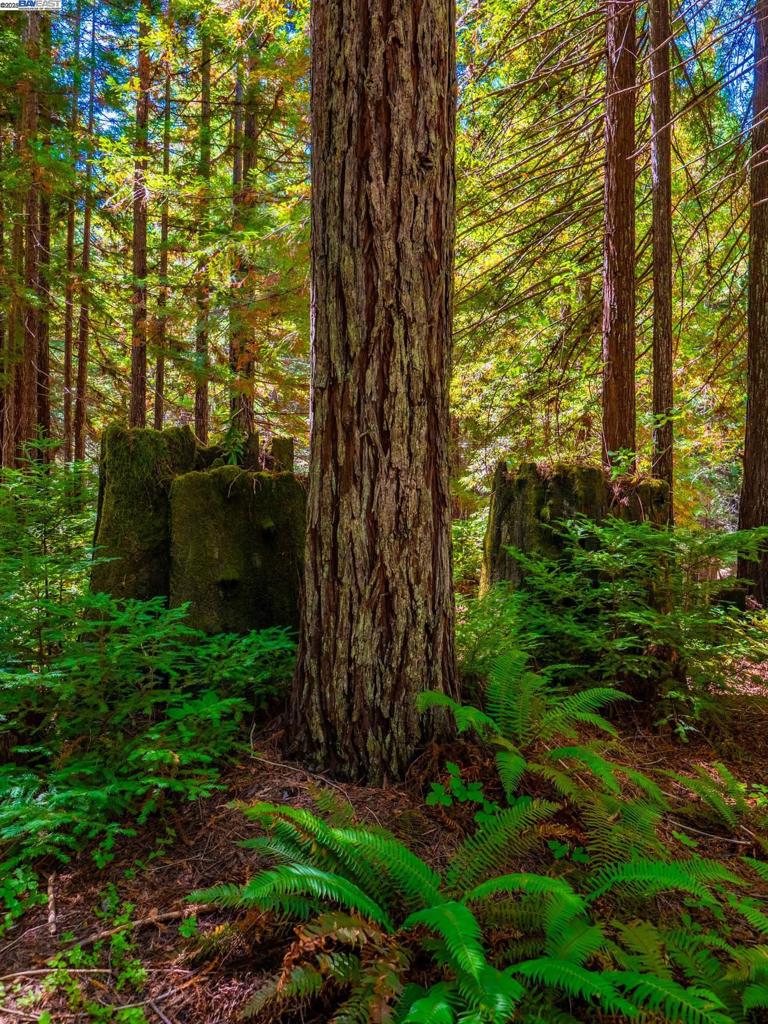 https://media.crmls.org/mediaz/ad58d37a-e682-4469-9dcf-96438058178b.jpg?preset=X-Large