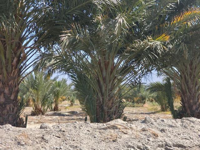 Image 6 of 8 For 0 Calhoun Street