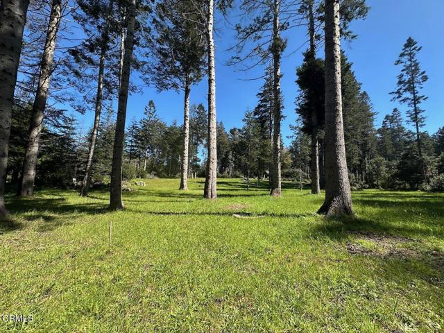 Detail Gallery Image 2 of 6 For 26555 Highway 1, Fort Bragg,  CA 95437 - – Beds | – Baths