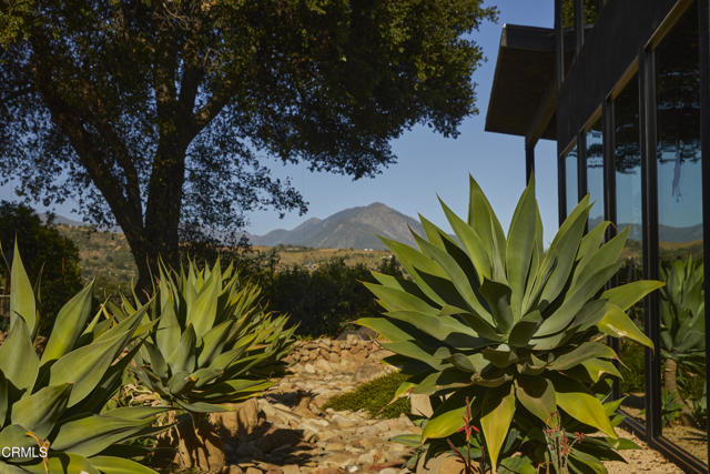 12293 Topa Lane, Santa Paula CA: https://media.crmls.org/mediaz/ad771048-61f0-47b9-a5fc-a5d76c214014.jpg
