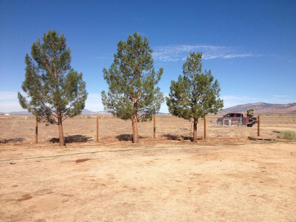 MLS #NDP2210662 image #3