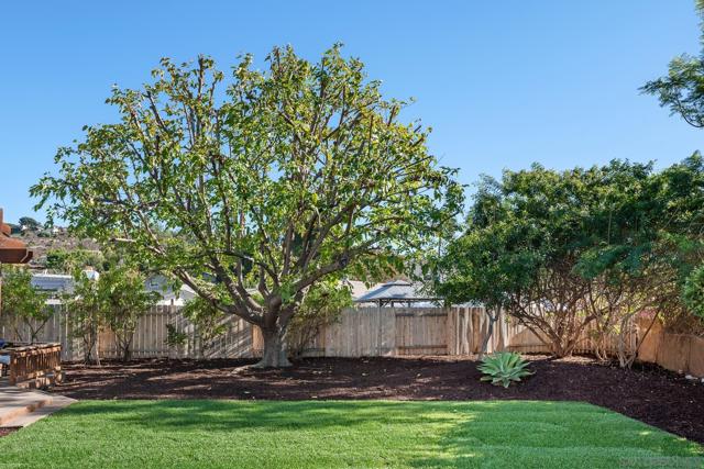 7414 Margerum, San Diego CA: https://media.crmls.org/mediaz/ad85d7f8-105c-4296-ac69-6ff522647bcc.jpg