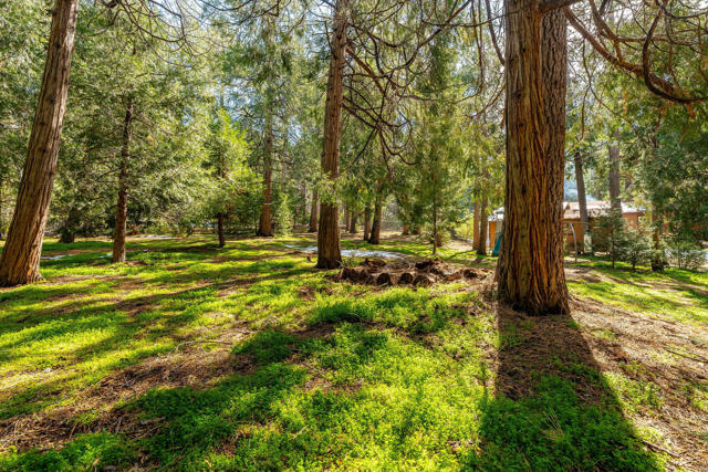 54820 Fern Drive, Idyllwild CA: https://media.crmls.org/mediaz/ad8ff574-0b89-44e9-849c-b5ffbb41cf24.jpg