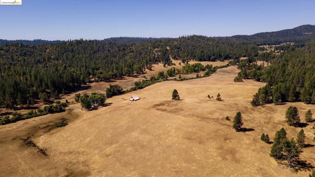 10488 Converse RD, Coulterville CA: https://media.crmls.org/mediaz/ad97f3ff-9803-469f-8697-34fdf454344e.jpg