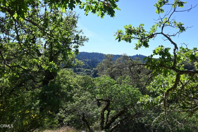 Detail Gallery Image 21 of 59 For 24051 Fig Tree Ln, Yorkville,  CA 95494 - – Beds | – Baths