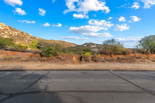 87 Presilla Dr, Jamul CA: https://media.crmls.org/mediaz/adab7ccc-e62e-488e-b0c7-3414320989fe.jpg