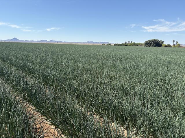 Image 5 of 17 For 187 Water Toll Acres On Ben Hulse Highway