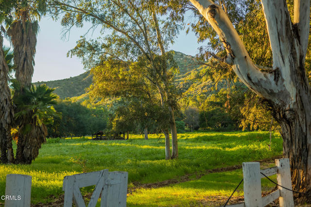 Detail Gallery Image 2 of 55 For 1519 Ayers Ave, Ojai,  CA 93023 - 5 Beds | 3 Baths