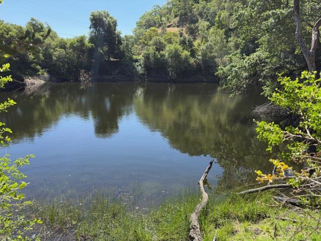 14056 Uvas Road, Morgan Hill CA: https://media.crmls.org/mediaz/add9fe3f-8a8d-4815-a712-35ed8c72f839.jpg