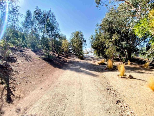 31733 Lake Meadow Rd, Acton CA: https://media.crmls.org/mediaz/adea17da-96e5-4a18-a808-f458fc312c96.jpg