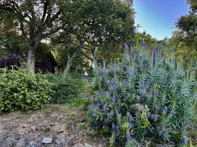 108 Santa Maria Avenue, Portola Valley CA: https://media.crmls.org/mediaz/adeb854f-a713-4c85-9509-7b6aef548e4a.jpg