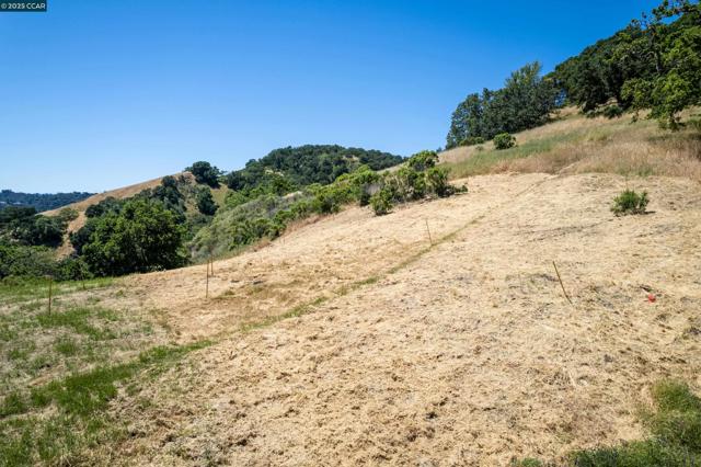 0 Monticello Rd., Lafayette CA: https://media.crmls.org/mediaz/aded9348-4f04-437c-8f05-570ff864346c.jpg