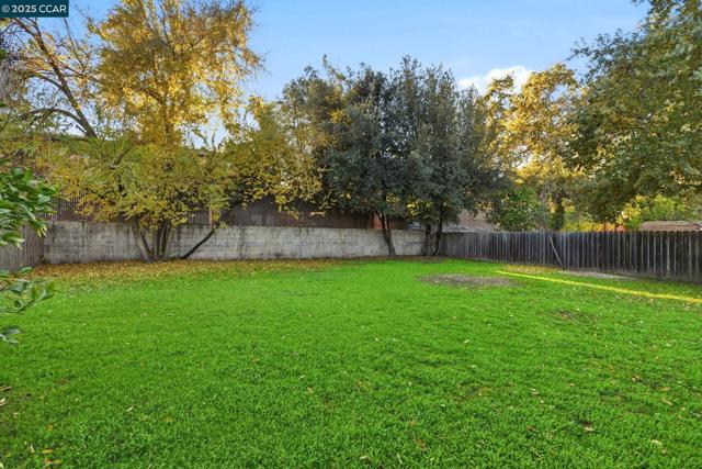 1035 Orange st, Concord CA: https://media.crmls.org/mediaz/adf6cd52-07db-41b1-ab32-4c4dd0461a39.jpg