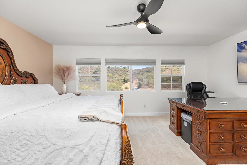 MLS #250039872SD image #12