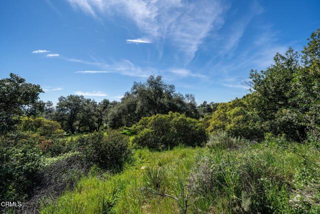 Detail Gallery Image 7 of 45 For 4700 Rising Hill Rd, Altadena,  CA 91001 - – Beds | – Baths