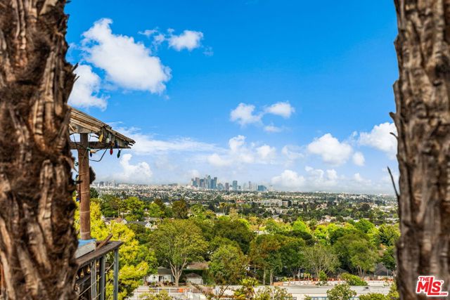 2838 Medill Place, Los Angeles CA: https://media.crmls.org/mediaz/ae0b28fc-e15b-4796-b8d2-c615b2b9d9a3.jpg