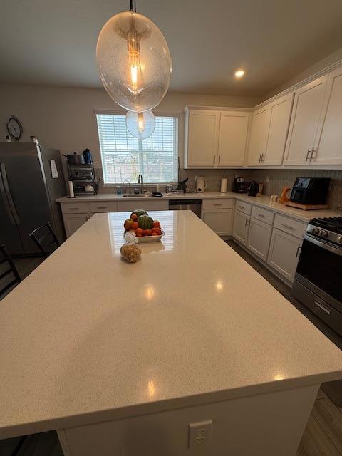 Image 22 of 56 For 1045 Osprey Drive