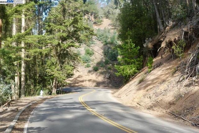 7590 Skyline Blvd, Oakland CA: https://media.crmls.org/mediaz/ae27a398-46ec-4cc5-a330-68ef14dcbf45.jpg