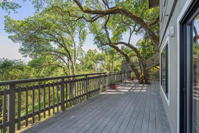 361 Castle Crest Rd, Alamo CA: https://media.crmls.org/mediaz/ae29f3cc-5f27-4404-8654-a9617f9c4fe2.jpg