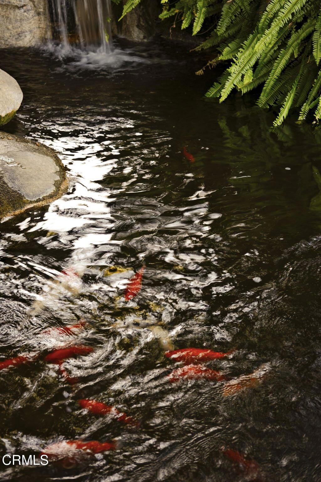 https://media.crmls.org/mediaz/ae36f9be-3441-46e8-996d-a22f1771cc59.jpg?preset=X-Large