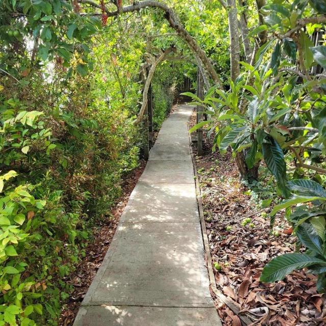 3360 Merrill Road, Aptos CA: https://media.crmls.org/mediaz/ae37d476-7f40-4177-b939-127973339071.jpg