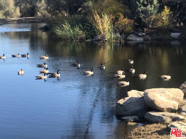1 Blackhawk Lake, Coarsegold CA: https://media.crmls.org/mediaz/ae39ad9d-6866-4c39-b6c4-a3d5367b9d8f.jpg