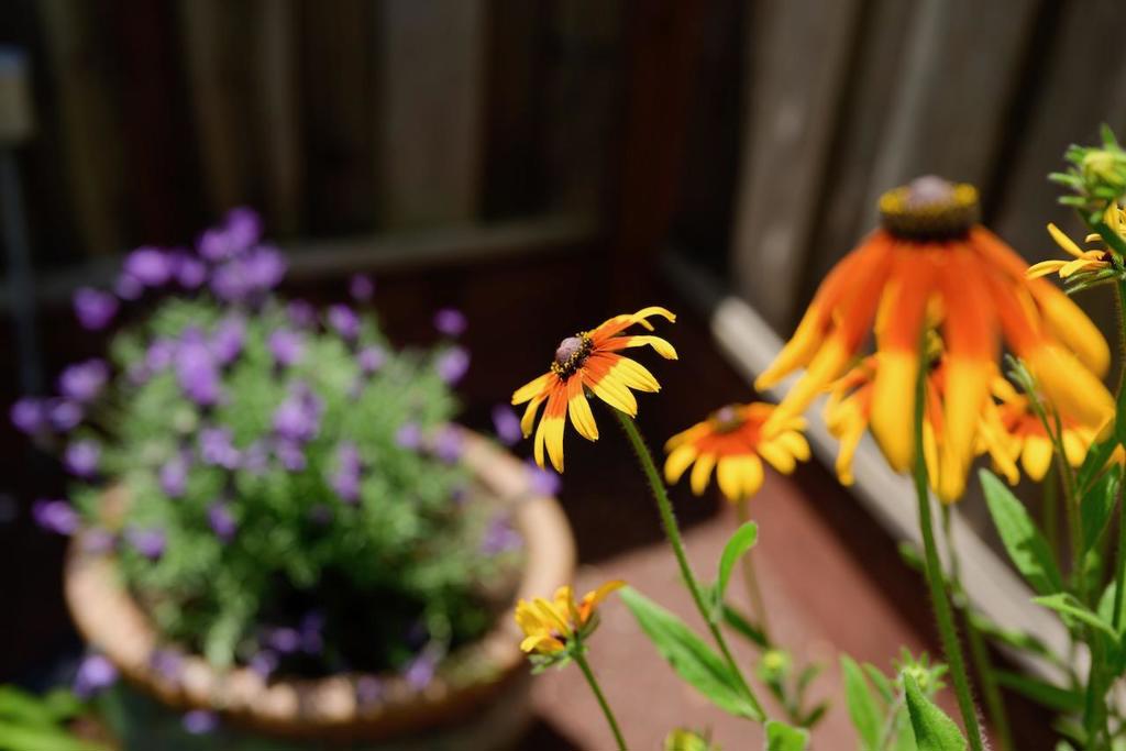 https://media.crmls.org/mediaz/ae3efdab-d597-41b7-9720-dcad41492f09.jpg?preset=X-Large