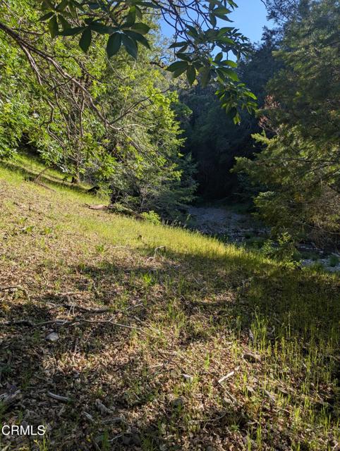 Detail Gallery Image 20 of 49 For 22346 Rickard Ranch Rd, Point Arena,  CA 95468 - – Beds | – Baths