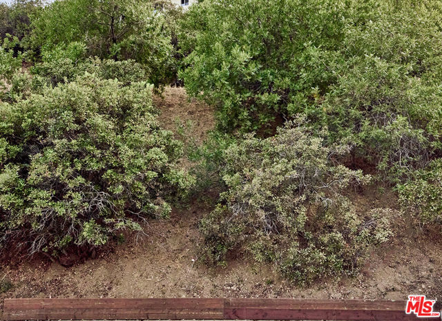 701 Museum Drive, Los Angeles CA: https://media.crmls.org/mediaz/ae6039a0-9df0-4867-8701-c21516658ca9.jpg