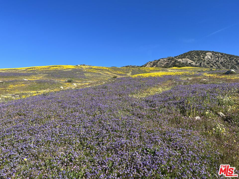 https://media.crmls.org/mediaz/ae60dbcd-f486-4c62-885d-ccfac727c0c6.jpg?preset=X-Large