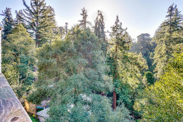 851 Burns Avenue, Aptos CA: https://media.crmls.org/mediaz/ae662d87-3827-401b-b8cb-82cf3443b94b.jpg