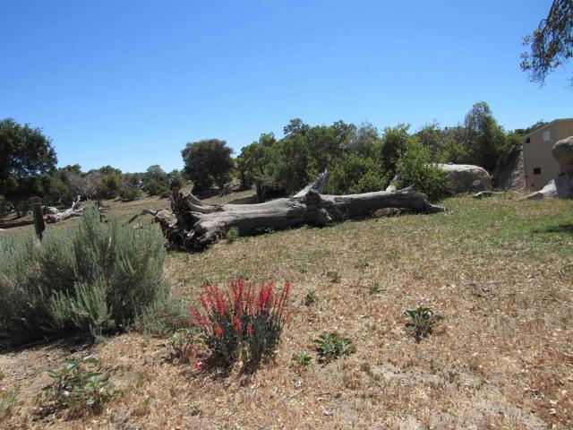 Detail Gallery Image 8 of 47 For 200 Acres Mccain Valley Rd, Boulevard,  CA 91905 - – Beds | – Baths