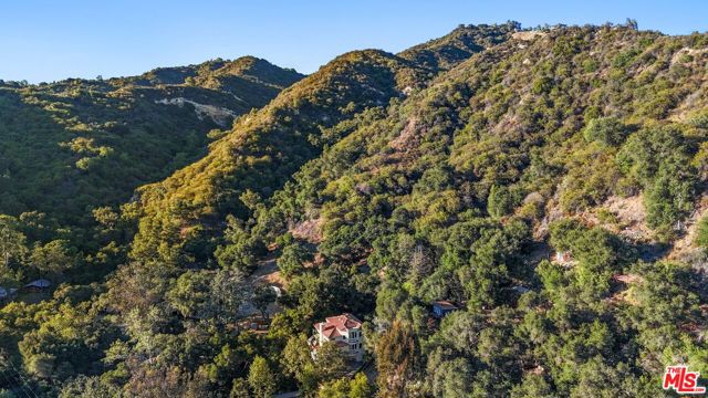 774 Old Topanga Canyon Road photo 60