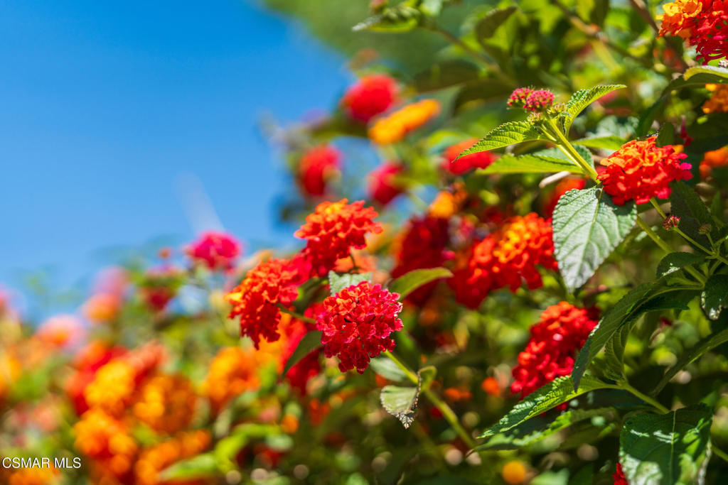 https://media.crmls.org/mediaz/ae6d5189-394d-42ba-8251-75e039d518f3.jpg?preset=X-Large