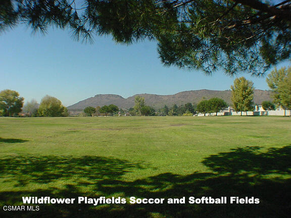 SOCCER FIELDS