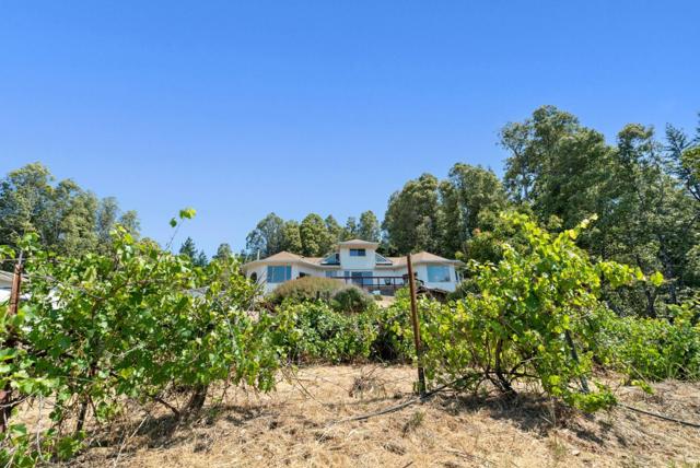 335 Wild Iris Lane, Santa Cruz CA: https://media.crmls.org/mediaz/ae7a17ba-3797-4a8b-8587-bfc387a1c4e3.jpg